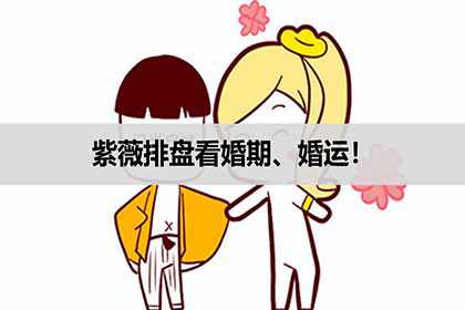 紫薇排盘看婚期、婚运！