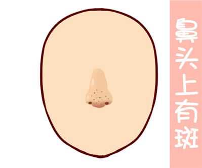 从鼻子看面相