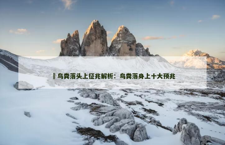 ﻿鸟粪落头上征兆解析：鸟粪落身上十大预兆
