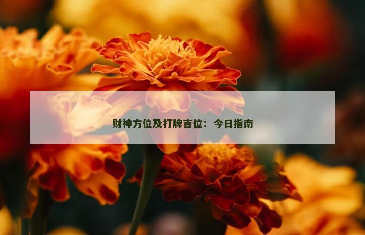财神方位及打牌吉位：今日指南