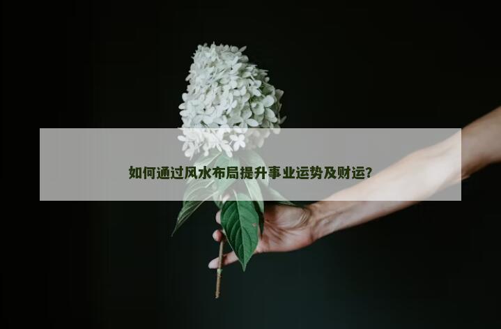 如何通过风水布局提升事业运势及财运？