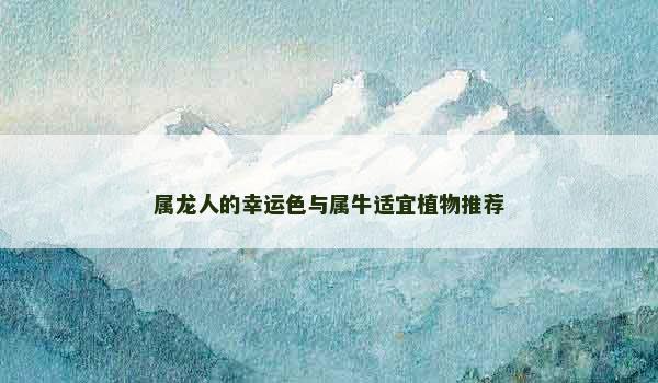 属龙人的幸运色与属牛适宜植物推荐