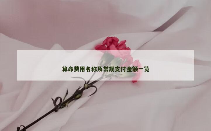 算命费用名称及常规支付金额一览