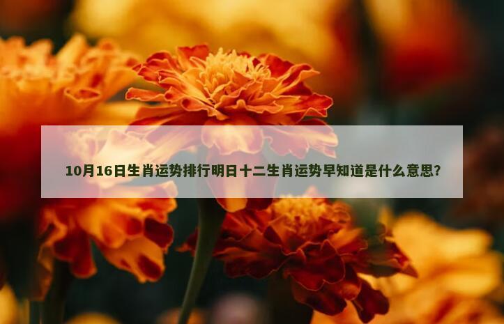 10月16日生肖运势排行明日十二生肖运势早知道是什么意思？