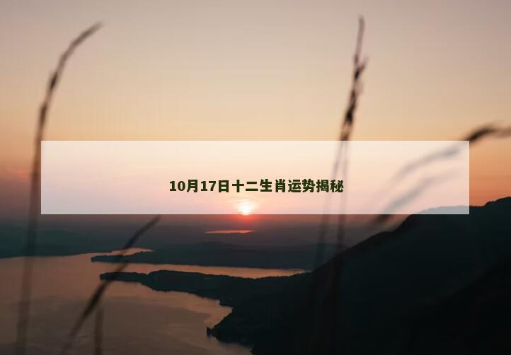 10月17日十二生肖运势揭秘