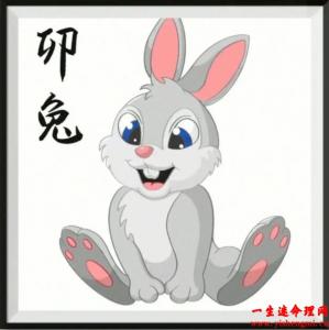 1987年属兔的是什么命？